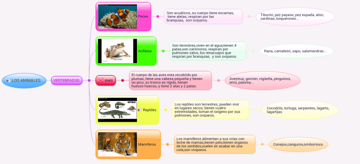 gillermolos-animales